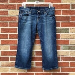 Lucky Brand Lil Paradise Button Fly Blue Crop Pants 👖